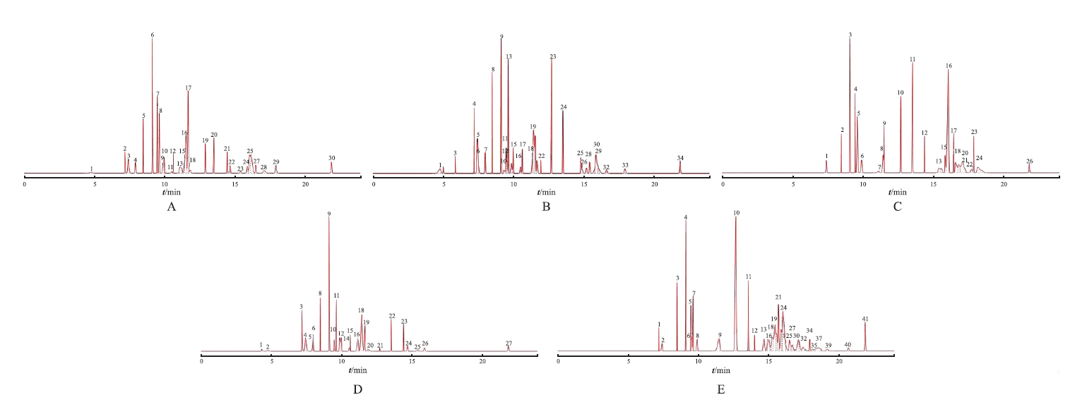 基于气相色谱-串联质谱指纹图谱与化学模式识别法鉴定不同品种药用红景天